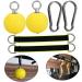 Hoement Grand Training Ball Set - Power Handlebar Grip Trainer for Enhanced Workout Performance - Buy Online on GoSupps.com