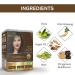 Herbishh Hair Color Shampoo for Gray Hair - Ammonia-Free Dye + Argan Mask - 10pack + 1pack - Travel Size - Long Lasting Dark Brown Color - Buy Online on GoSupps.com