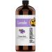 16oz - Bulk Size Lavender Essential Oil (16 Ounce Total) - Therapeutic Grade Essential Oil - 16 Fl Oz Bottle Lavender 1 Pound (Pack of 1)