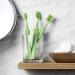 TEPE GOOD Regular Soft Toothbrush - Eco-Friendly User-Friendly & Soft Bristles | Sustainable Oral Care for a Bright Smile - Buy Online on GoSupps.com