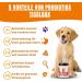 Build Probiotics for Dogs - 120 Treats for Improved Digestion & Immune Health | Support Intestinal Flora & Relieve Sensitive Bellies - Buy Online on GoSupps.com