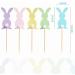 Hosiwei Easter Bunny Food Picks for Cake Decoration 25Pcs Wooden Bunny Picks with Spring Theme for Easter Party Supplies Easter Decorations for Dessert Table - Buy Online on GoSupps.com