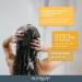 NUTRISANTE Nutricap Fortifying Shampoo All Hair Type - Softness Shine Flexibility - All Natural - Nourishing Wheat Germ Oil Vitamin E - Paraben Free - Sulfate Free - 200ml - 2 Months Solo - Buy Online on GoSupps.com