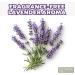 Hypoallergenic Organic Bar Soap for Sensitive Skin - Vegan Fragrance-Free with Pure Lavender Oil 3 Bars Natural Ingredients - Buy Online on GoSupps.com