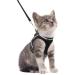 rabbitgoo Cat Harness and Leash Set for Walking Escape Proof, Adjustable Soft Kittens Vest with Reflective Strip for Small Cats, Comfortable Outdoor Vest Small Black