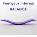Solofit Balance Board with Resistance Bands - Fitness Board for Adults - Core Abs Legs Workout - Purple - Buy Online on GoSupps.com
