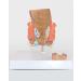 Life Size Human Rectal Hemorrhoid Lesion Model PVC Human Anorectal Pathology Model Demonstration Teaching Model