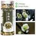 Buy Organic Snow Plum Blossom Tea | Anti-Aging Dried Flowers Tea - 60g - Buy Online on GoSupps.com
