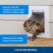 PetSafe Large Wall Entry Pet Door with Telescoping Frame - Insulates Better than Metal Doors  Energy Efficient Cat & Dog Door for Interior & Exterior Walls  Weatherproof  DIY  Easy to Install & Clean - Buy Online on GoSupps.com