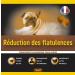 Anti Flatulence Treatment for Dogs - Food Supplement for Dogs against Flatulence - 60 Dog Kibbles for Anti Flatulence - Chicken Flavor (French) - Buy Online on GoSupps.com