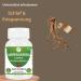  Morsan Healthcare Ashwagandha (Withania somnifera) Capsules | Pack of 60 x 500 mg. Vegetarian capsules | Natural food supplement | GMP certified | Gluten-free (120) - Buy Online on GoSupps.com