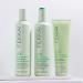 Fekkai Brilliant Gloss Multi-Tasker - 2 oz | Hydrating Dry, Frizz-Prone Hair | Salon Grade, EWG Compliant, Vegan & Cruelty Free - 2 Fl Oz - Buy Online on GoSupps.com