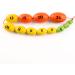 Wooden Prader Orchidometer for Testis Measurement - Ideal Gift for Endocrinologist & Pediatrician - Buy Online on GoSupps.com