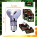 Terra Exotica Neo Spot: UV Heat & Light Reflector for Terrariums (25W-150W) - Perfect for Terrarium Dwellers - Buy Online on GoSupps.com
