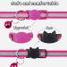 Taglory Reflective Cat Collar with Safety Clasp & Bell - 2-Pack Adjustable Hot Pink Collars for Cats & Kittens (15-20cm) - Buy Online on GoSupps.com
