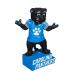 Team Sports America Evergreen Enterprises NFL Carolina Panthers Mascot DesignGarden Statue Team Colors One Size