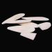 Shop Gitu 6-Piece Premium Sepia Bowls for Turtles Birds & Reptiles - Natural Calcium & Mineral Care (11-12cm) - Buy Online on GoSupps.com