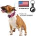 Buy Tspro Premium Dog Collar - Adjustable Khaki Thick Collar with Quick Lock Buckle for Small Medium & Large Dogs - Size M (32.5cm-45cm) - Buy Online on GoSupps.com