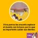 Buy Pedigree Dentastix Daily Oral Care Snacks for Small Dogs - Chicken & Beef Flavors - 56 Pieces - Best Dental Care Treats - Buy Online on GoSupps.com