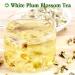 White Plum Blossom Tea ( Th blanc de prune Flos Mume Albus ) Dried Flower Tea Plum Green Tea Loose Organic Health Tea Herbal Green Plum Bossom Tea Freckle 35g/1.23oz - Buy Online on GoSupps.com