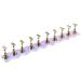 minkissy 1 Set Manicure Tools Professional Nail Art Display Stand Practice Nail Art Holder Nail Tools Nail Holder for Press on Nails Press on Nails Stand Symphony Piece Bracket False Nails