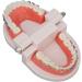 Orthodontic Tooth Model with Metal Brackets - Ideal for Teaching & Research in Laboratories | International Shipping - Buy Online on GoSupps.com