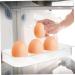 RORPOIR 2pcs Fridge Eggs Egg Holder Refrigerator Kitchen Egg Holder Egg Racks Egg Tray Storage Box No Cover - Buy Online on GoSupps.com