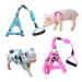 Woyous animal dishes size M pink and blue 2-part adjustable dishes with leash set for small pigs dogs rabbits walking running and playing medium pink / blue