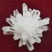 1pcs Natural Crystal Cluster Raw Quartz White Stones Crystal Point Specimen Home Decoration Raw Crystals NaturalCrystal QINTINYIN Home Goods 700-800g