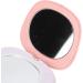 Compact Handwarmer Hand Warmer Light Cartoon Image with Pocket Mirror Light for Women for Home Travel Use Pink Pig - Buy Online on GoSupps.com
