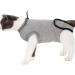 BT Bear Pet Surgery Recovery Suits Cats Clothes Abdominal Wounds Skin Diseases E-Collar Alternative Cotton Cat Shirt for Cats Puppy Small Dogs (XXS-Back length 25cm) XXS--Back length 25cm Chest--27cm - Buy Online on GoSupps.com