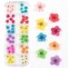 Dried Flowers for Nail Art CHANGAR Mini Real Natural Dry Flowers Sticker Decals Small Tiny Dried Flowers Five Petal Flower Resin Nail Art Supplies Decoration