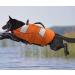 Wallpage Dog Lifeguard Vest - Classic Stripes Adjustable Tear-Resistant Strong Rescue Handle for Swimming & Boating - Orange M (Chest Girth: 53-65cm) - Buy Online on GoSupps.com
