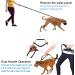 Philorn Super Elastic Freehand Dog Leash 120-170 cm with Belt Pocket - Jogging Leash for Large Dogs Up to 65 kg Reflective & Bungee Design - Perfect for Active Dog Owners - Buy Online on GoSupps.com