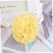 FOMIYES 1pc Sponge for Bathing Bath Sponge Body Sponge Sea Sponge for Bathing Natural Sponge Seaweed Sponge Honeycomb Bath Ball Algae Sponge Greek Natural Seaweed Sponge - Buy Online on GoSupps.com