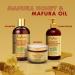 SheaMoisture Hydrate & Replenish Kit: Shampoo, Conditioner, & Hair Masque for Curly Hair - Manuka Honey & Marfura Oil - Deep Conditioning Treatment - 3 Count - Buy Online on GoSupps.com