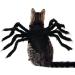 Shop Halloween Spider Costume for Dogs & Cats | Adjustable Black Paired Costumes & Decorations - Perfect for Small & Medium Pets - Buy Online on GoSupps.com