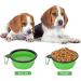 Buy Collaborative Dog Bowl & Collapsible Water Bowl for Cats & Dogs - Portable 350ml Green Bowl with Carabiner - Buy Online on GoSupps.com