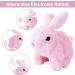 ZBATHTOY Bunny Plush Rabbit Toy | Interactive Gift for 1-6 Year Old Boys & Girls | Ideal Birthday Present for Kids - Buy Online on GoSupps.com
