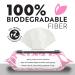 Personal Wipes for Feminine Care - Biodegradable & Plant-Based 40 Single-Use Cleansing Wipes | Travel-Friendly & Large Size - Buy Online on GoSupps.com