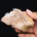 Natural Crystal Rough Natural Raw Quartz White Crystal Cluster Reiki Healing Crystal Point Minerals Stones Specimen Home Decoration Crafts Ornament - Buy Online on GoSupps.com