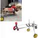 2 Wheel Dog Wheelchair Dog Movers Aluminum Pet Scooter for Hind Leg Disability Paralyzed People (XS(Widen))