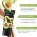 Avocado BB Cream Concealer Moisturizer Primer | Oil-Free | Long Lasting | Full Coverage | Cruelty Free | 1.4 Fl.Oz - Buy Online on GoSupps.com
