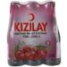 KIZILAY 48 Bottles Natural Mineral Water Mixed Fruit Flavor (Cherry Apple Watermelon Lemon) Rich Mineral Water with Bicarbonate and Sodium 200ml - Buy Online on GoSupps.com