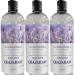 Lavender Chamomilla Body Wash for Women and Men - Nourishing & Moisturizing - All Skin Types - Paraben-Free Vegan (Lot of 3)