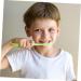 CliSpeed 8st Small Krokodil Toothbrush - Back Zahn Easy Oral Baby Training Brush | International Shipping - Buy Online on GoSupps.com