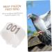 Sosoport 100 Pcs Pigeon Anklet Chicken Drumsticks Dove Lovebird Pigeons Identification Ring Charm Xuan Feng 1.3X1.3CM White - Buy Online on GoSupps.com