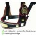AMKA Decorative Halter - COB Show Bridle & Driving Halter with Brass Fittings | International Shipping - Buy Online on GoSupps.com