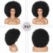 Kalyss 16 Women's Short Afro Kinky Curly Hair Wig - Premium Synthetic, Natural Look - 150% Density - Buy Online on GoSupps.com
