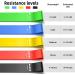 Renoj Resistance Bands - 5 Set Workout Bands for Women and Men - Stretch Bands for Booty Legs - Pilates Flexbands - Buy Online on GoSupps.com